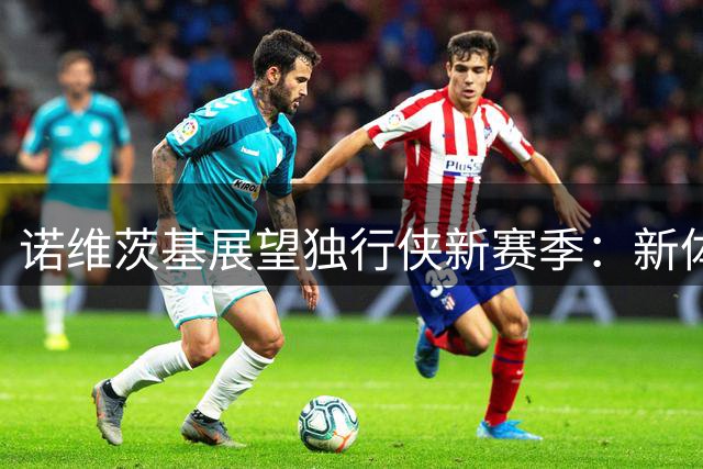 诺维茨基展望独行侠新赛季：新体系磨合引期待 欧文复出提升战力
